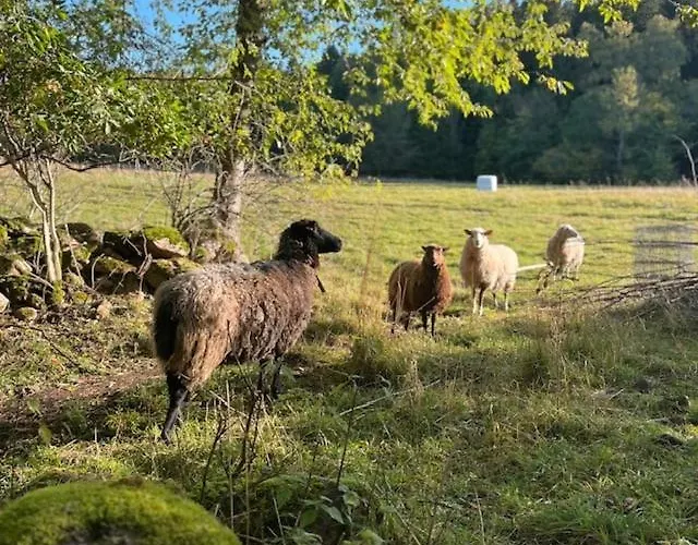 Stuga I Vallebygden, Axvall