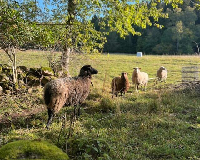Semesterbostad I Vallebygden, Axvall