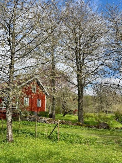I Vallebygden, Axvall